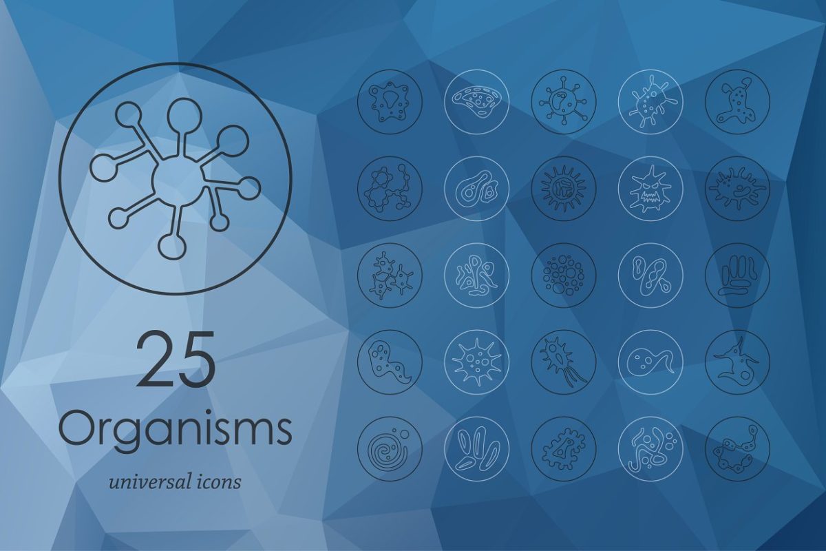 细菌图标素材 25 organisms line icons