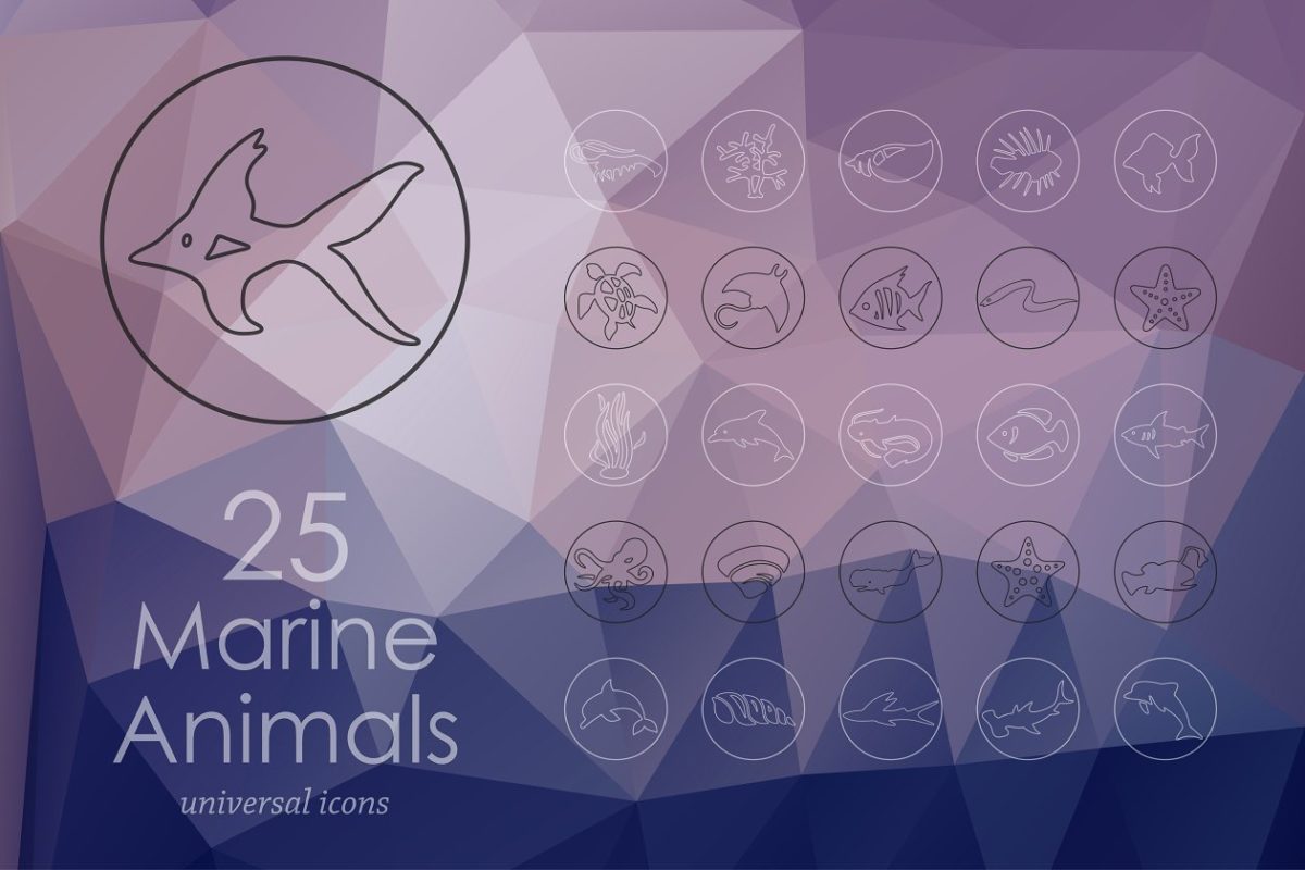 海洋动物图标素材 25 marine animals line icons
