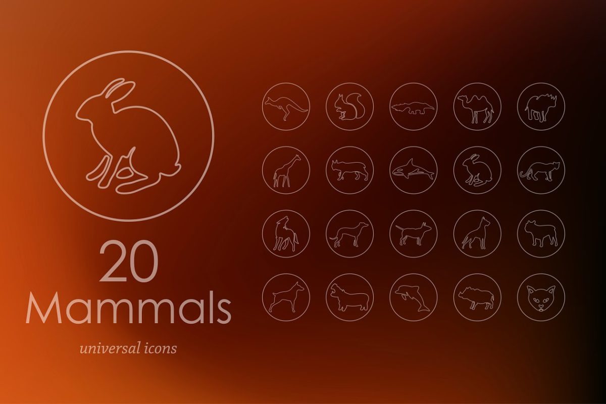哺乳动物图标素材 20 mammals line icons