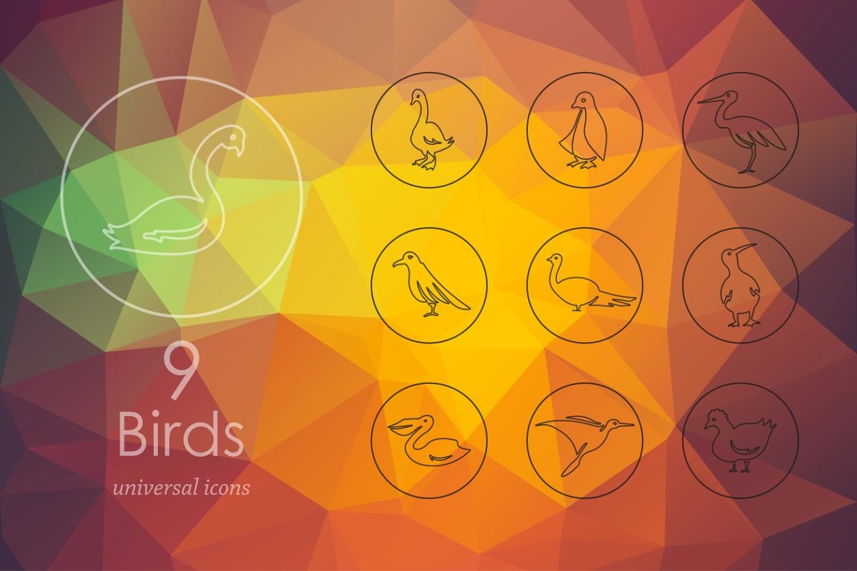 鸟类图标素材 9 birds icons