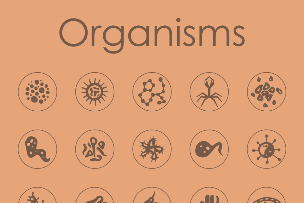 简单的生物图标 Organisms simple icons