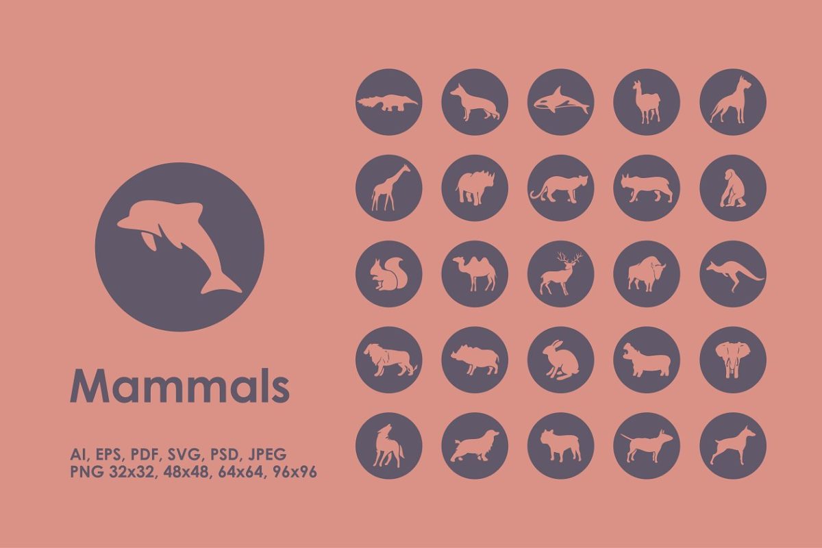 哺乳动物矢量图标 Mammals icons