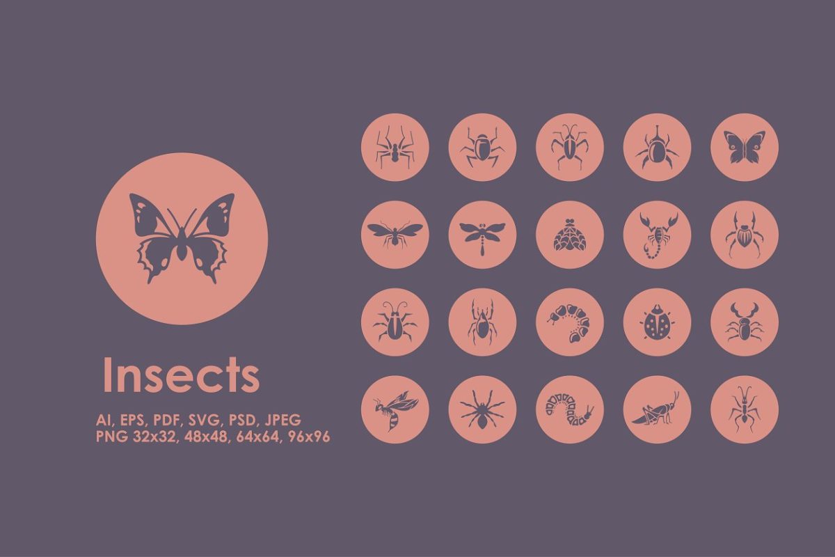 昆虫图标合集 Insects icons