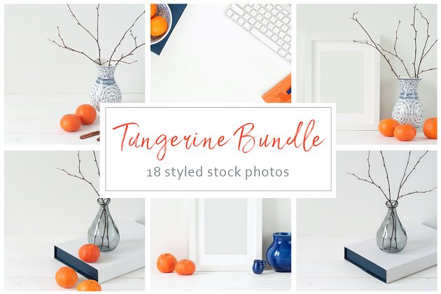 温暖冬季样机模板包 Tangerine Winter Bundle