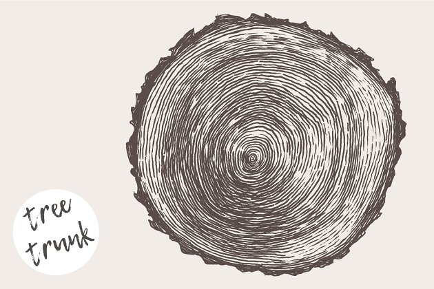 树木矢量插画 Illustration of a tree trunk