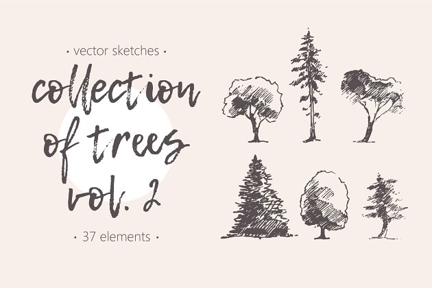 树木素描插画 Collection of hand drawn trees