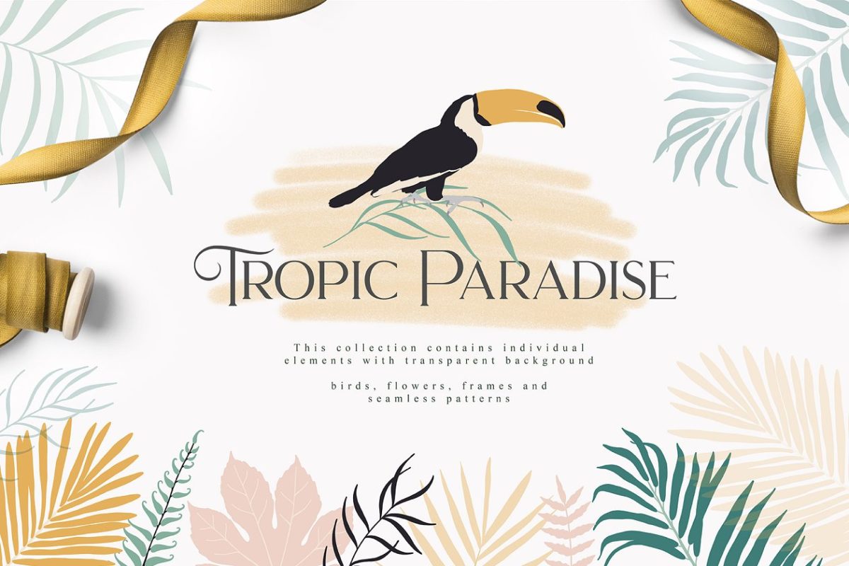 热带天堂图形插画 Tropic Paradise Collection Pro