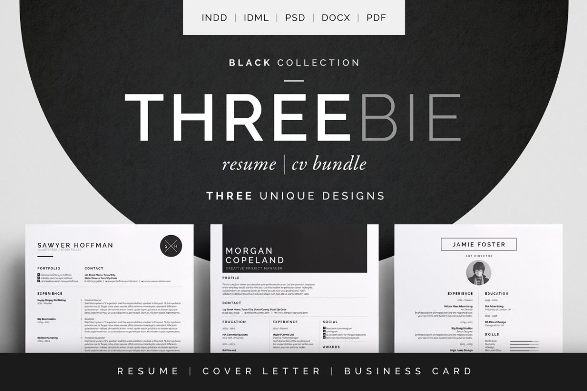 简约高端简历模板包 Threebie Resume/CV Bundle 1