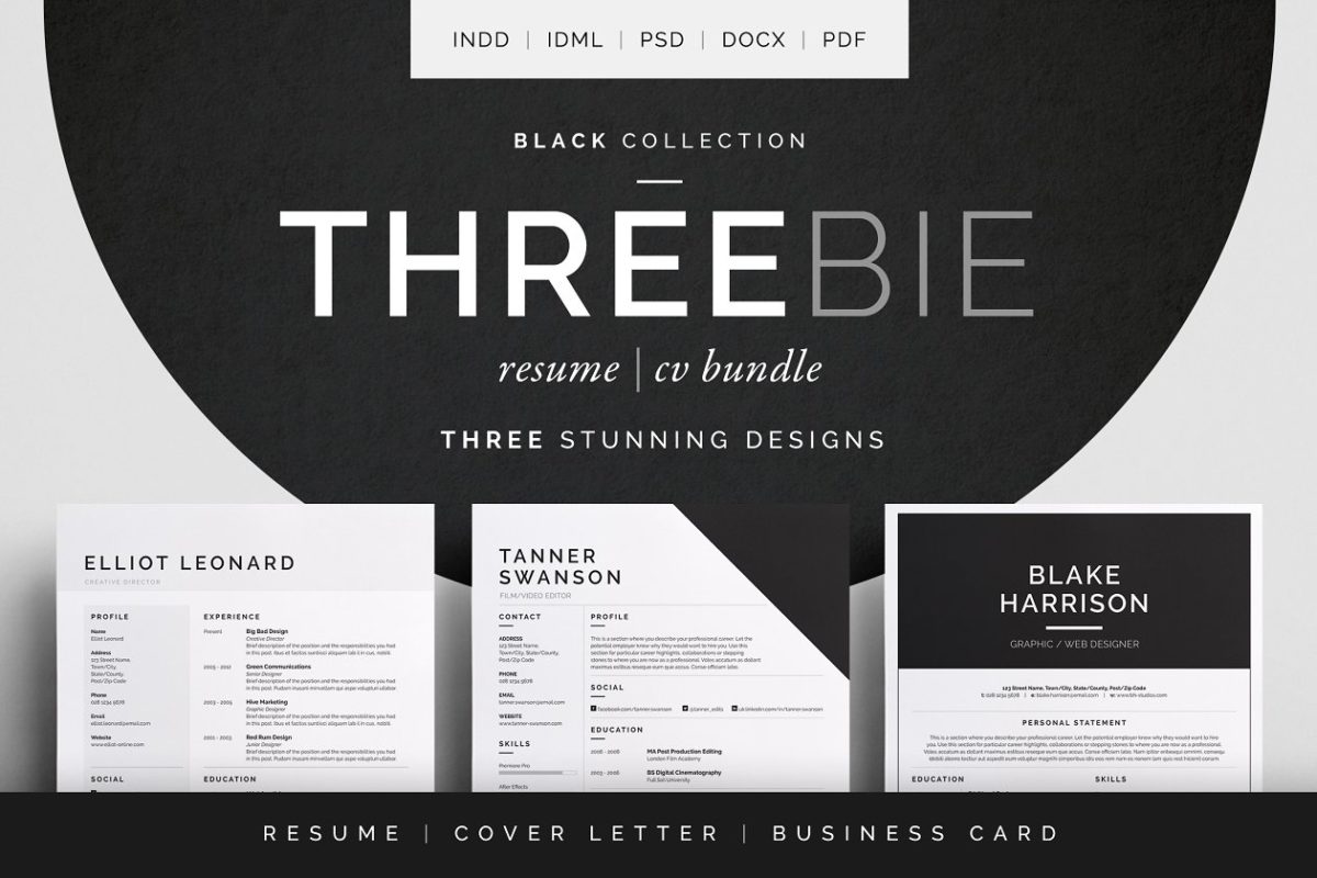 简洁具有设计感的个人简历模板 Threebie Resume/CV Bundle 2