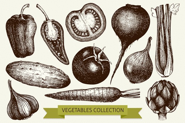 复古蔬菜素描素材插画集 Vintage Vegetables Collection