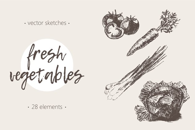 素描蔬菜插画 Set of high detail vegetables