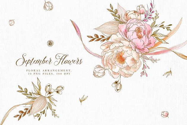 九月花卉插画素材 September Flowers