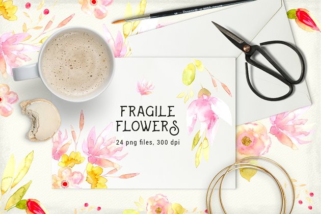 水彩花卉素材插画 Fragile Flowers