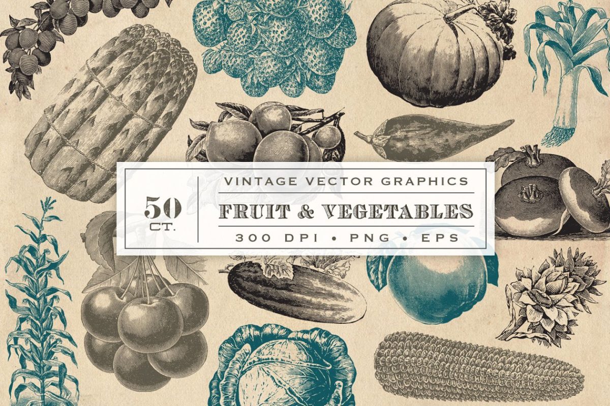 复古素描水果插图 Vintage Fruit & Vegetable Graphics