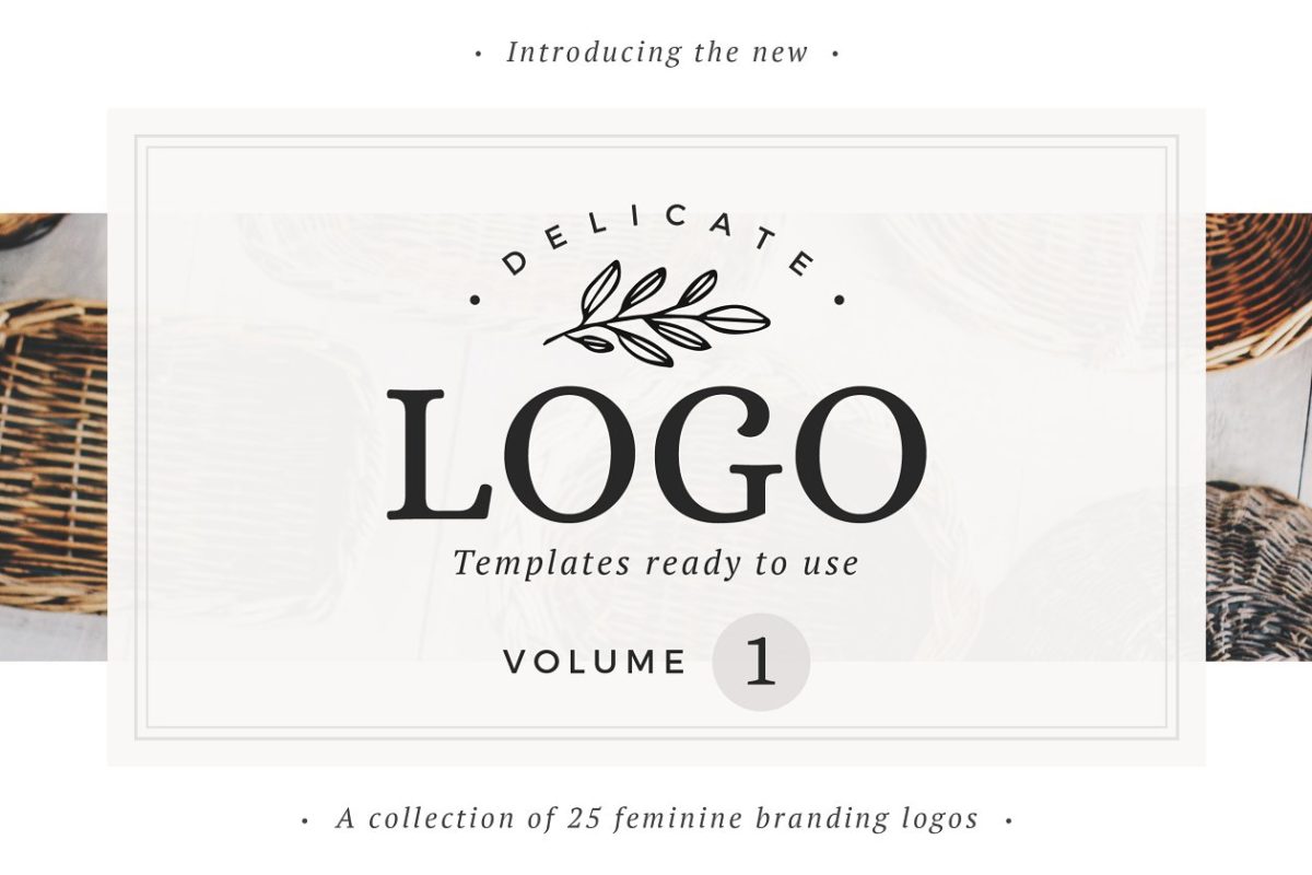 精致的标志logo模版 Delicate Logos – Volume 01