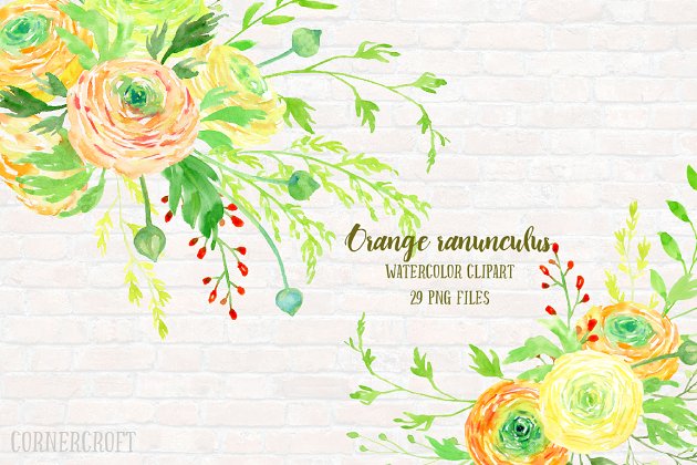 水彩花卉素材 Watercolor Clipart Orange Ranunculus