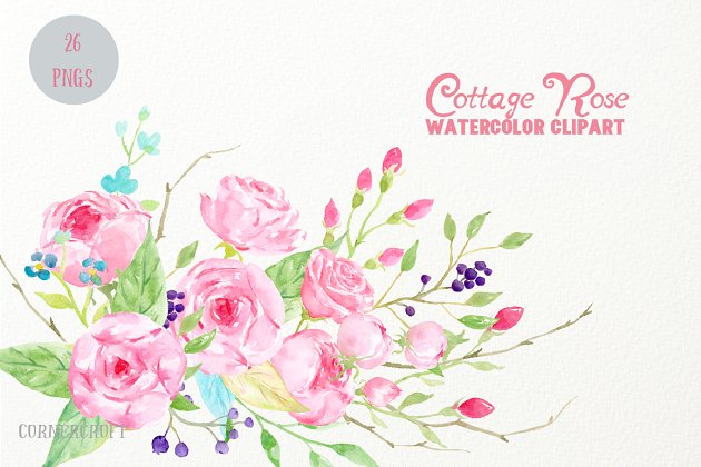 玫瑰水彩花卉素材 Watercolor Clip Art Cottage Rose