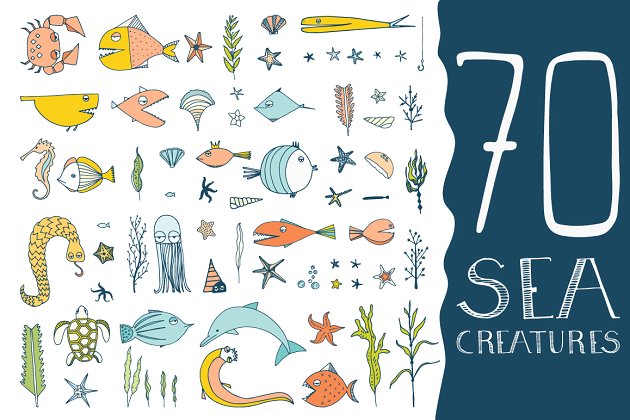 手绘海洋生物插画70 Hand Drawn Sea Creatures