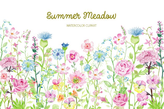 夏天水彩花卉剪贴画 Watercolor Clipart Summer Meadow