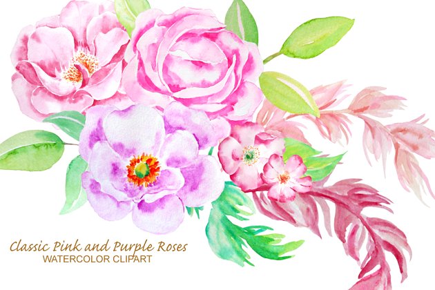 经典的水彩玫瑰剪贴画 Watercolor Classic Rose Clip Art
