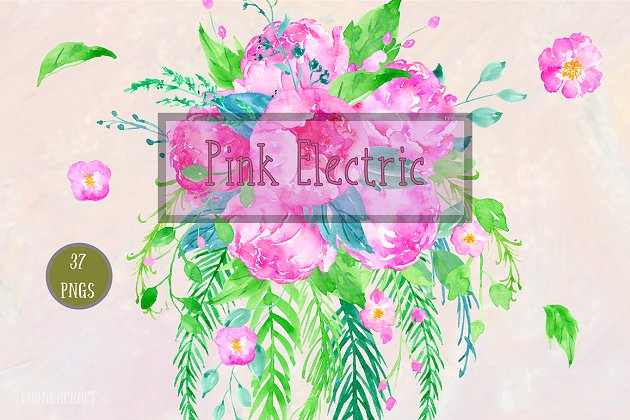 粉红水彩花卉素材 Watercolor Clipart Pink Electric