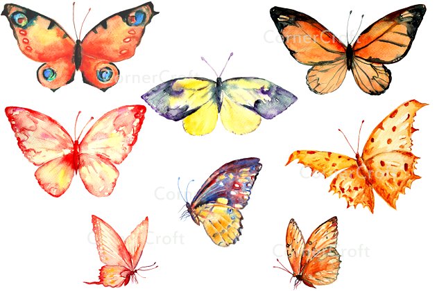 水彩蝴蝶剪贴画 Watercolor Clipart Orange Butterfly