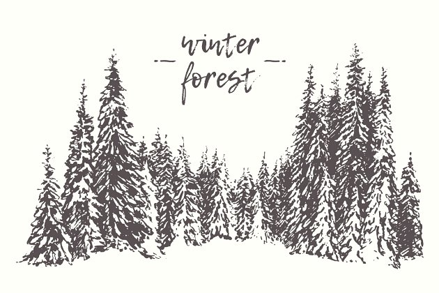 冬天松树林插画 Winter pine forest