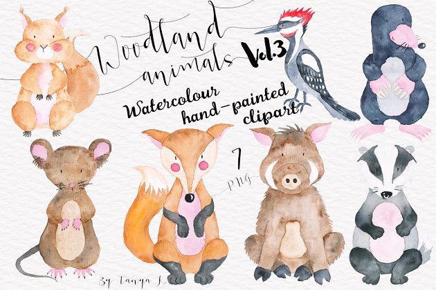 森林动物插画 Woodland animals Vol.3 Set