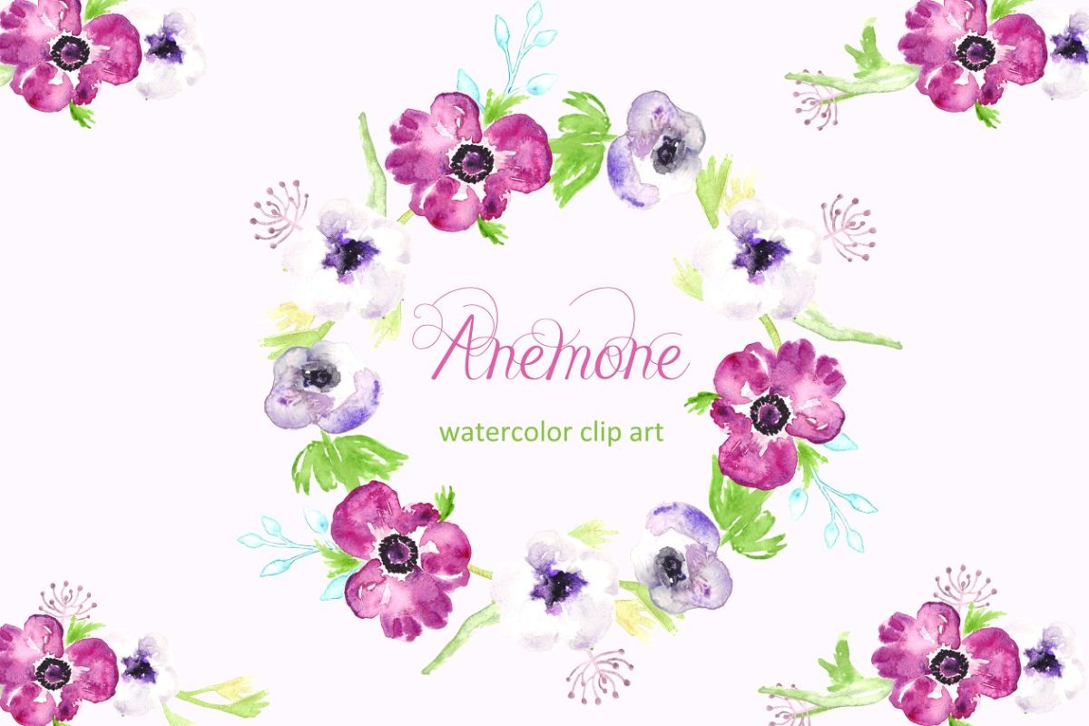 水彩花卉插画 Anemone watercolor clipart