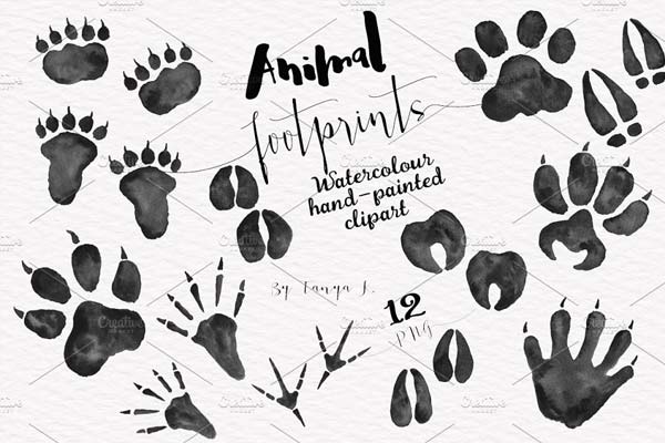森林动物足迹素材 Woodland Animals Foot Prints Set
