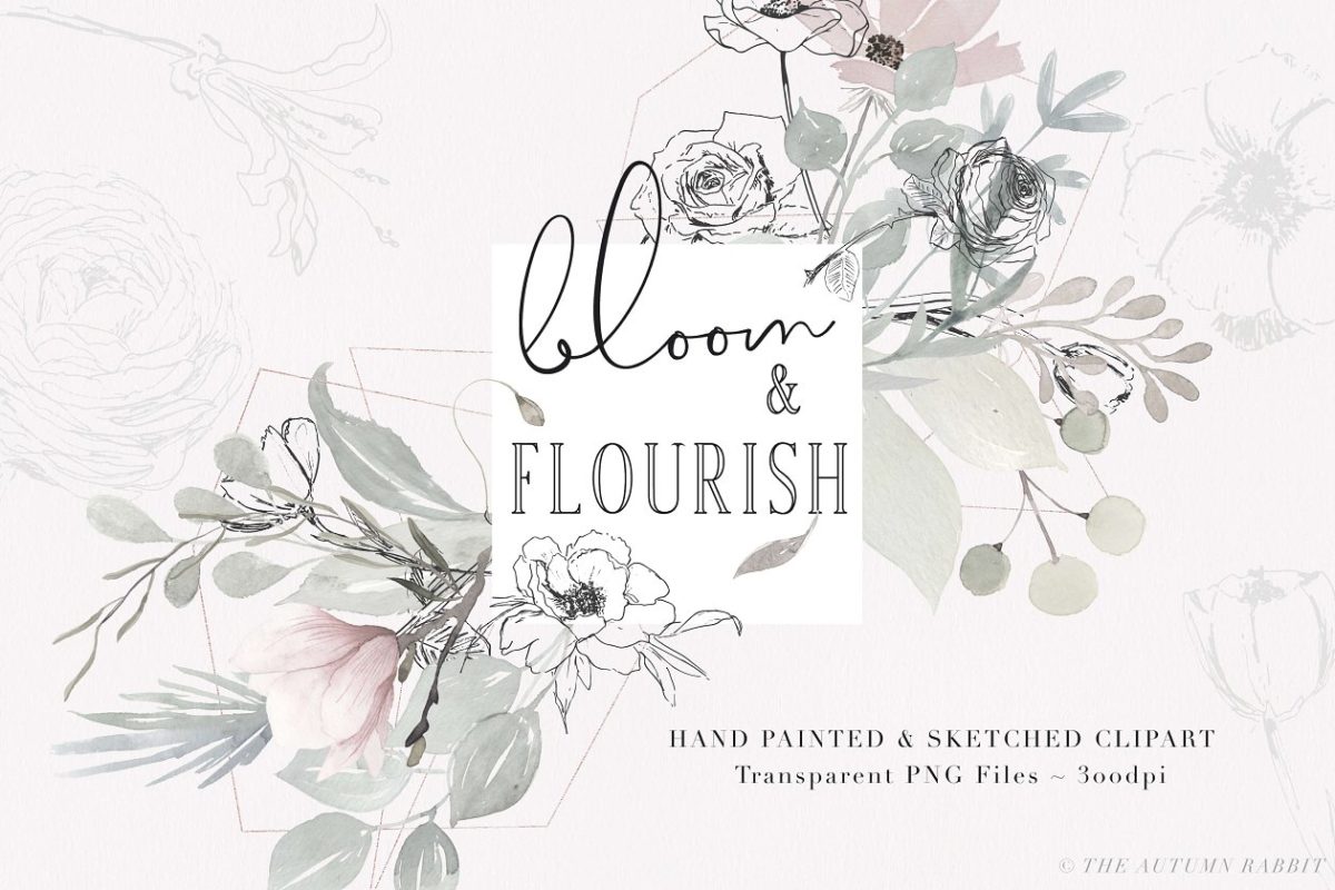 淡雅花卉剪贴画 Bloom & Flourish – Floral Clipart