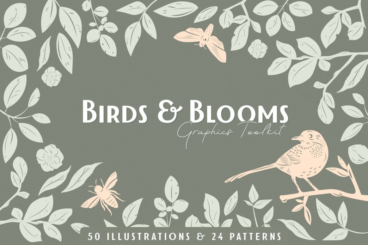 鸟类和花朵矢量图形套装 Birds & Blooms Graphics Kit