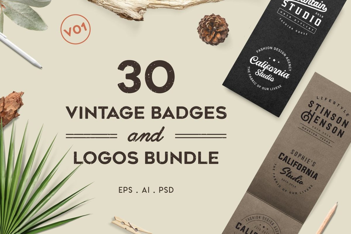 复古徽标&Logo设计模板 Vintage Badges and Logos Bundle V01