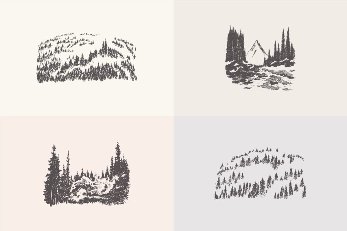 森林素描插画 Collection of forest landscapes