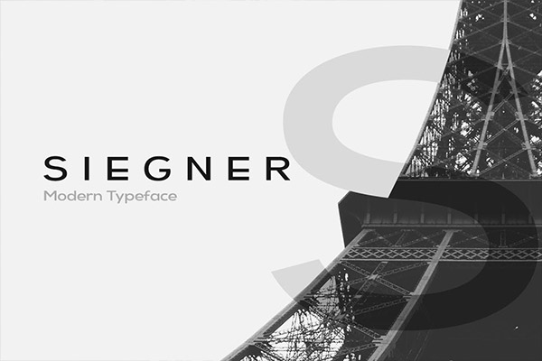 时尚现代高端简约的SIEGNER – 现代字体 WebFonts