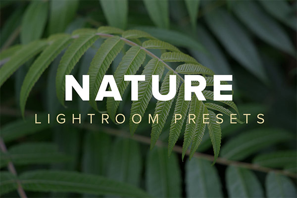 高品质的自然Lightroom预设 lightroom预设下载