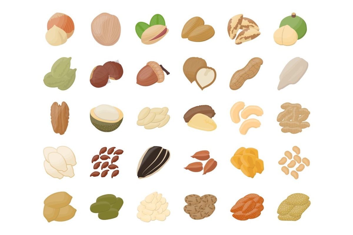 扁平化坚果图标素材 55 Nuts Flat Icons