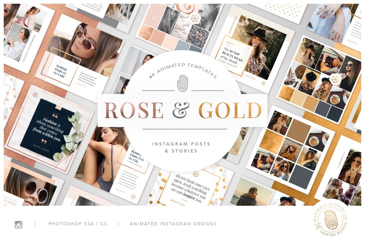 社交图片模板 ROSE & GOLD Animated Instagram Pack