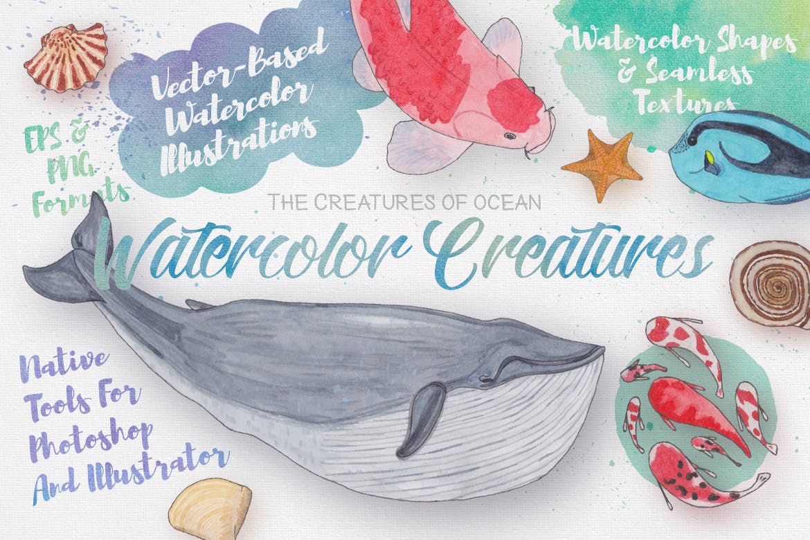 水彩 | 40幅手绘卡通插图海贝壳鱼类蓝鲸