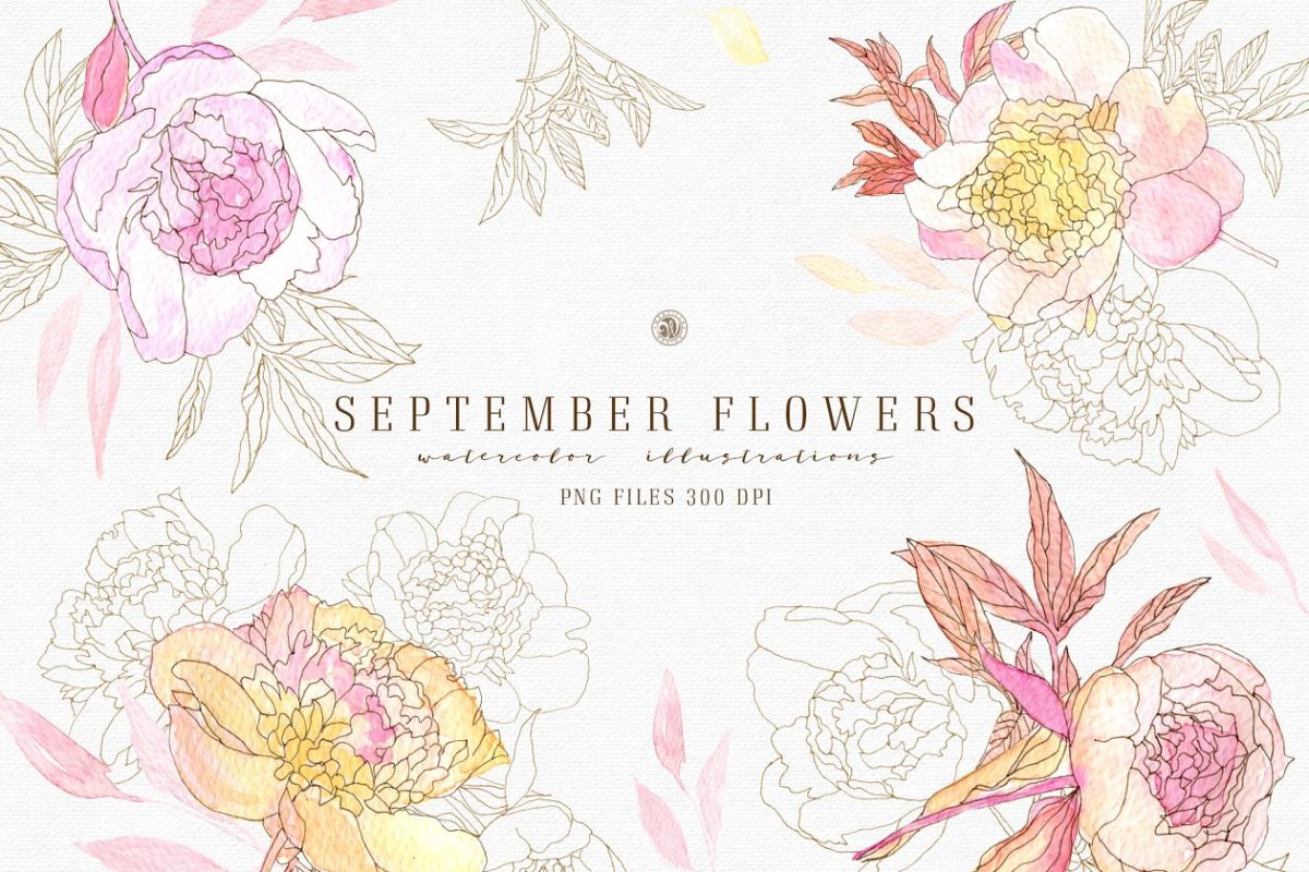 九月花卉海报插画 September Flowers vol.2