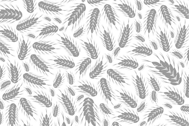 麦子图案图形 Wheat a background2