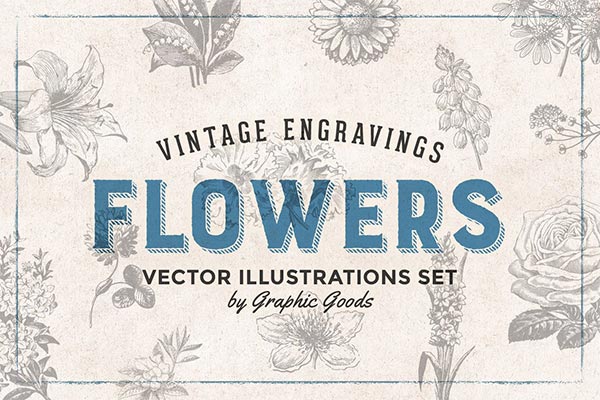 高端时尚复古质感的房地产围挡矢量手绘素描花卉花朵植物大集合