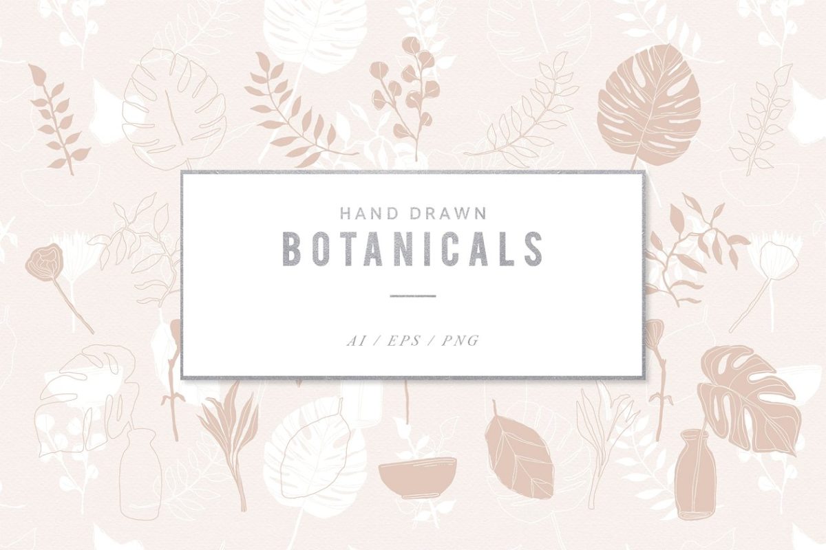 手绘植物插画 Botanical Illustration Graphics
