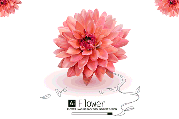 Illustrator flower web background插画欣赏