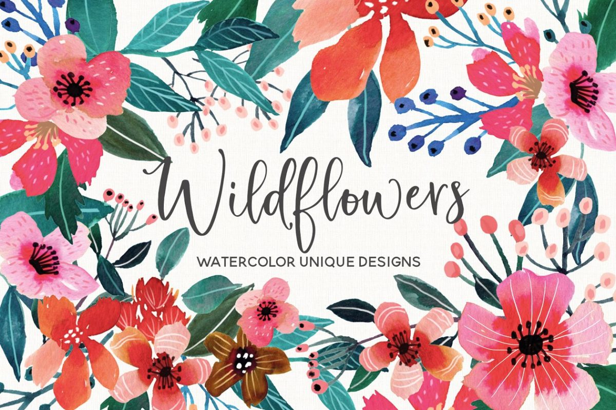 野花水彩插画集 Wildflowers Watercolor Collection