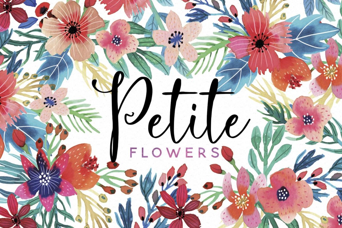 娇艳花卉水彩插画合集 Petite Flowers Watercolor Collection