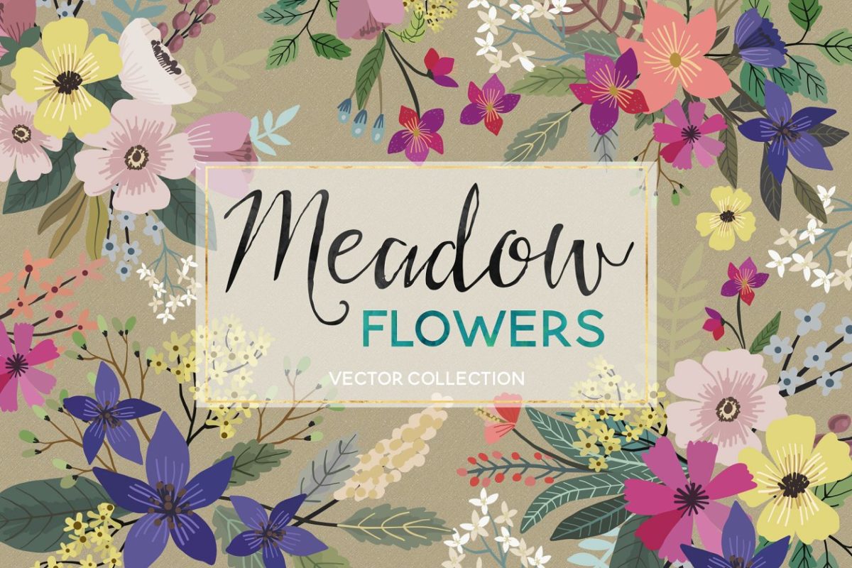 草地牧场矢量插画 Meadow Flowers Vector Collection