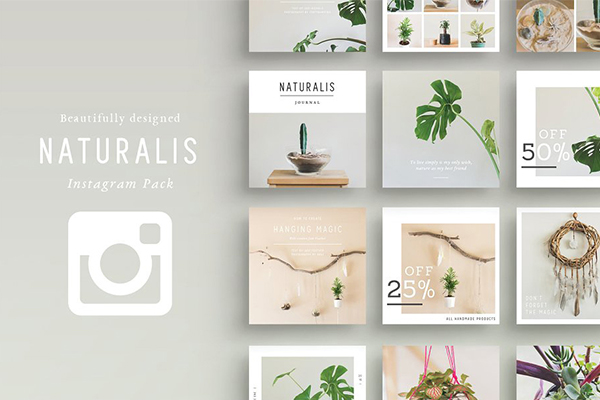 Instagram | 高端典雅现代宜家风格设计多用途的植物盆栽主题模板PSD