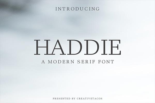 时尚简约多用途的Haddie Modern Serif英文字体系列