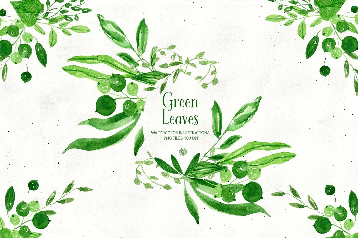 绿叶-手绘植物和平橄榄枝水彩剪贴画